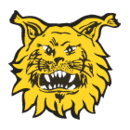 FC Ilves 2